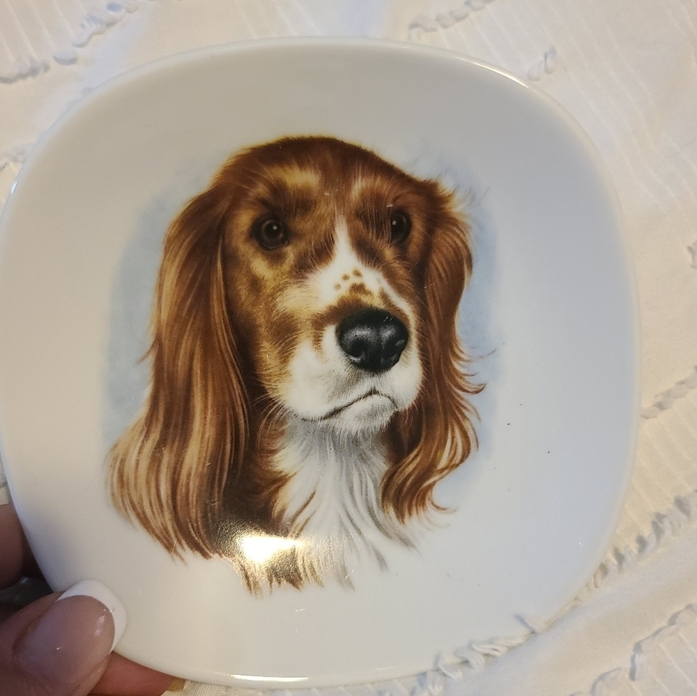 Bavaria Schumann Arzberg Springer Spaniel Collectible Plate # 46